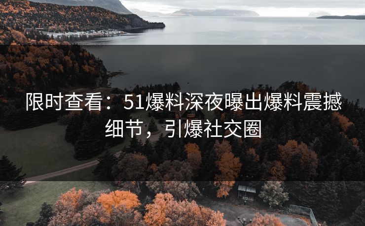 限时查看：51爆料深夜曝出爆料震撼细节，引爆社交圈