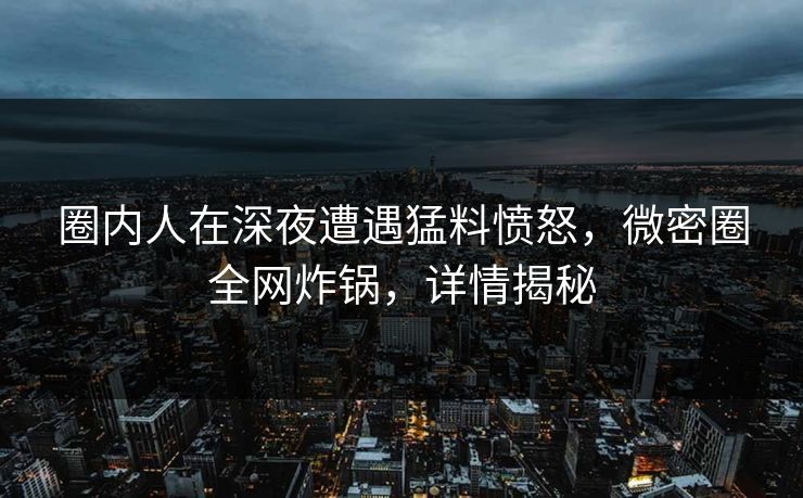 圈内人在深夜遭遇猛料愤怒，微密圈全网炸锅，详情揭秘